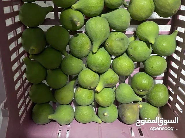 متوفر دكار الله يبارك حاجه صح يلي يبي يتواصل