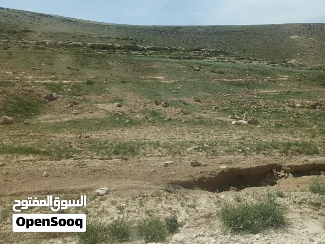 قطعه ارض للبيع على شارع 40 م  وادي العش
