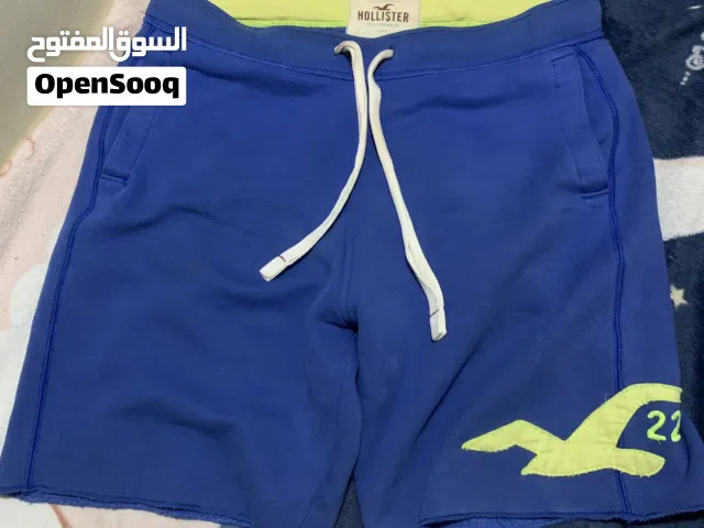 HOLLISTER SHORT