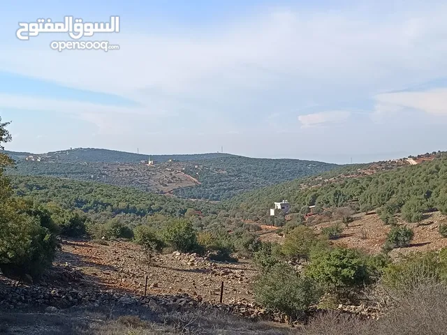 Farm Land for Sale in Ajloun A'fna