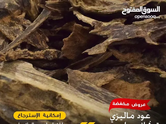 عِش الفخامة مع عود ترنجانو الماليزي – من شركة المحيط