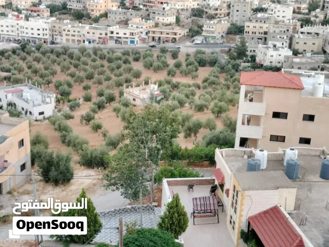 120 m2 3 Bedrooms Apartments for Rent in Jerash Other