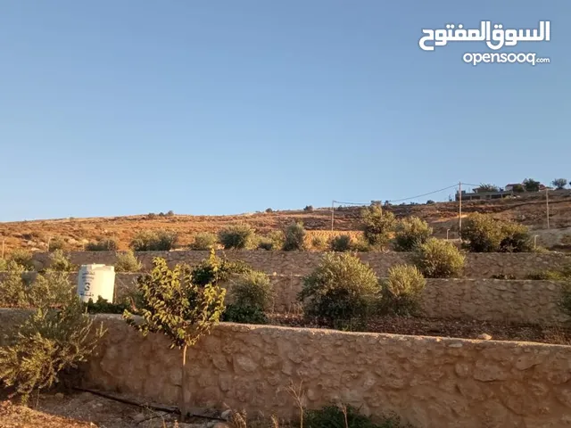 Studio Farms for Sale in Jerash Dahl