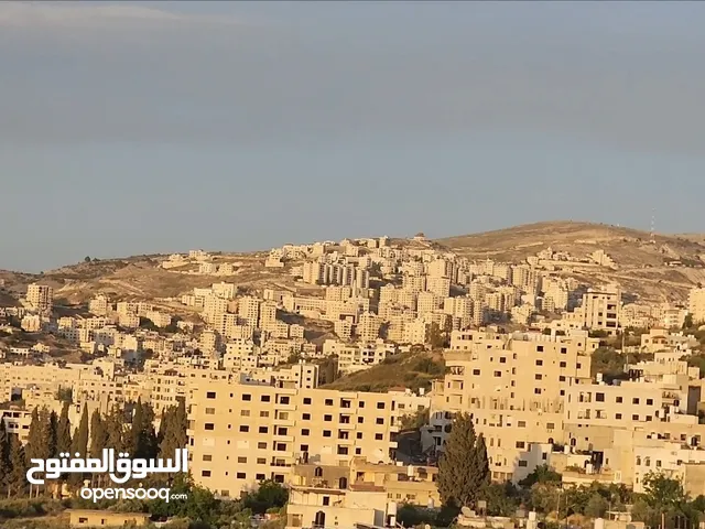 شقة عظم مساحتها 160 متر قرب مدرسة بكالوريا الرواد نابلس بيت ايبا اطلالة كاشفة وواسعة مع برندتين