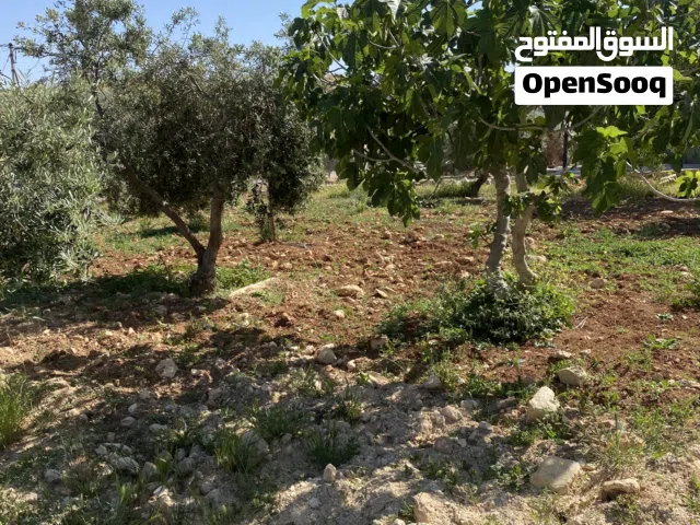 ارض للبيع خلف الجامعة العربيه