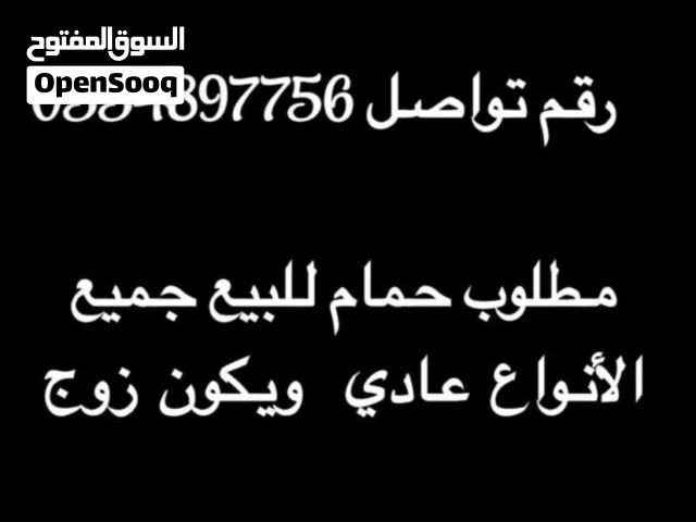 مطلوب حمام
