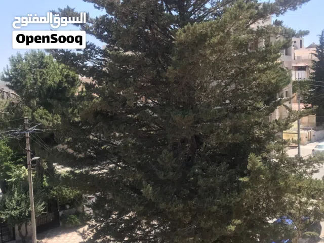 قطعة ارض 520 متر للبيع في ام السماق خلف مجمع جبر من المالك مباشرة