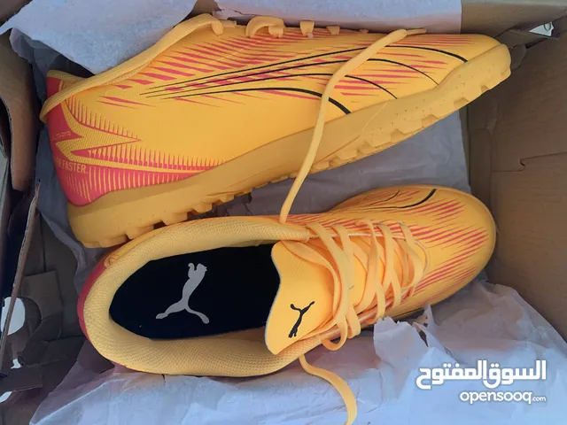 بوت بومة للبيع جديد بكرتونه