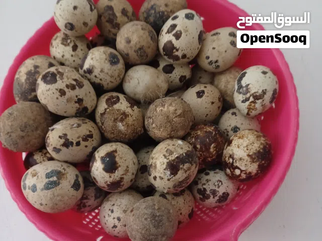 بيض سمان 30 حبه 3 ريال