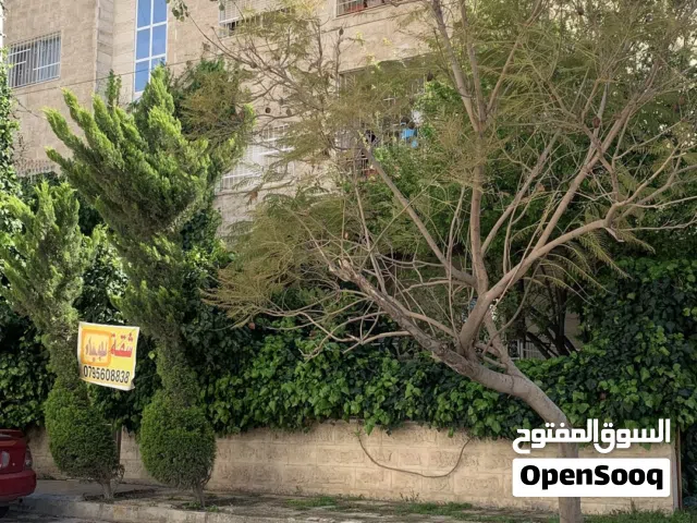شقة للإيجار في اربد- الحي الشرقي- قرب إشارة الدراوشة