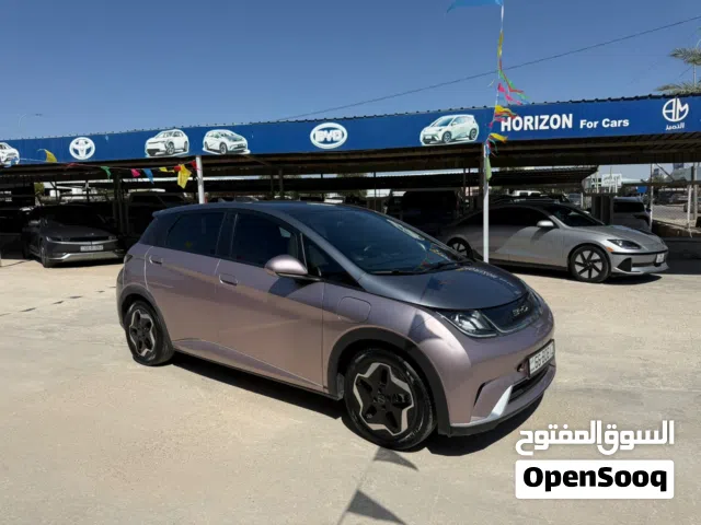 2022 بي واي دي دولفين