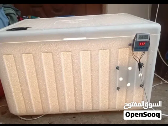فقاسات للبيع فلين حجم الكبير
