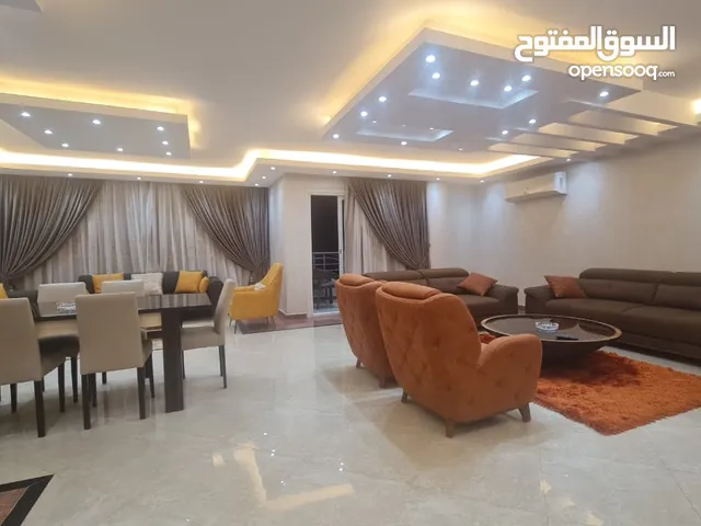 250 m2 3 Bedrooms Apartments for Rent in Cairo Nasr City
