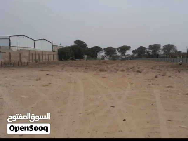 ارض للايجار علي الرىيسي