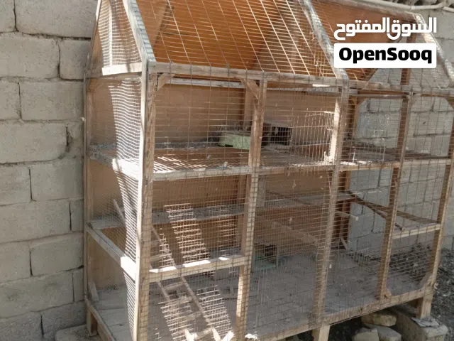 قفص للبيع يرهم كل لطيور الوصف مهم