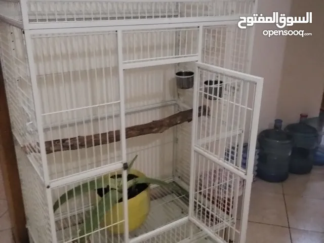 big cage for parrot for sale