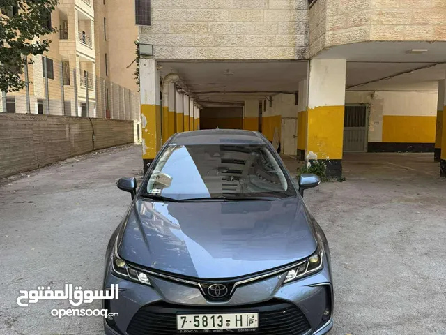تويوتا كورولا 2019