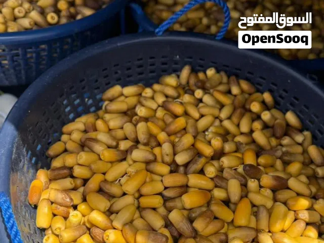 يوجد لدينا رطب النغال