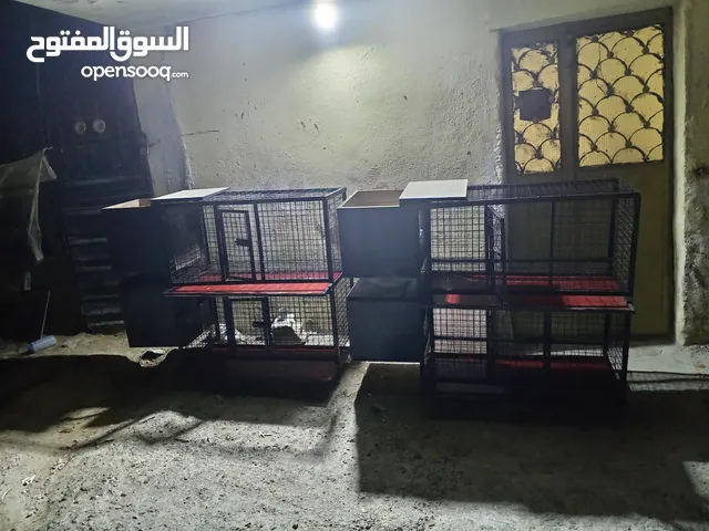 تفصيل جميع انواع الاقفاص والاخشاش حسب طلبك واقل سعر بلمملكه