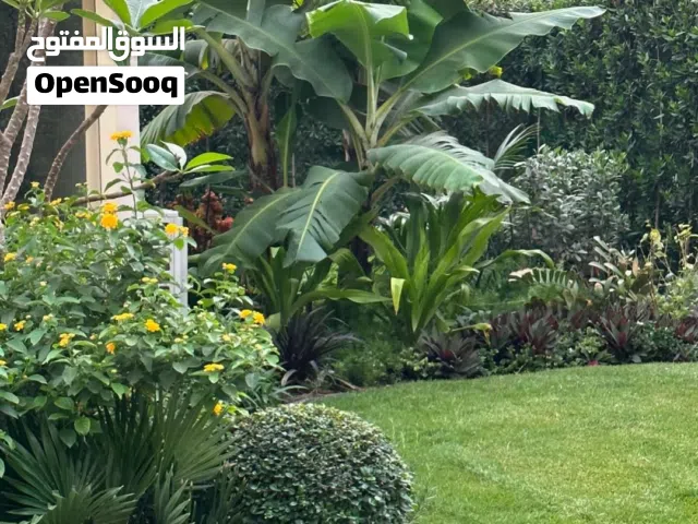 مقاول سراميك