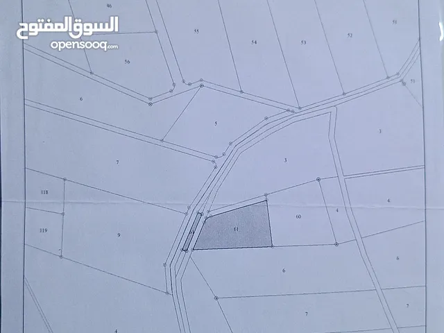 قطعة أرض 4 دونم مميزة للبيع بسعر مغري من المالك مباشرة