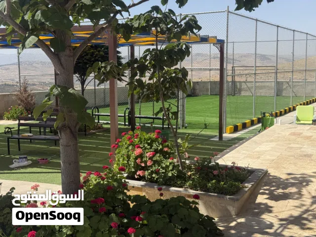 4 Bedrooms Chalet for Rent in Zarqa Birayn