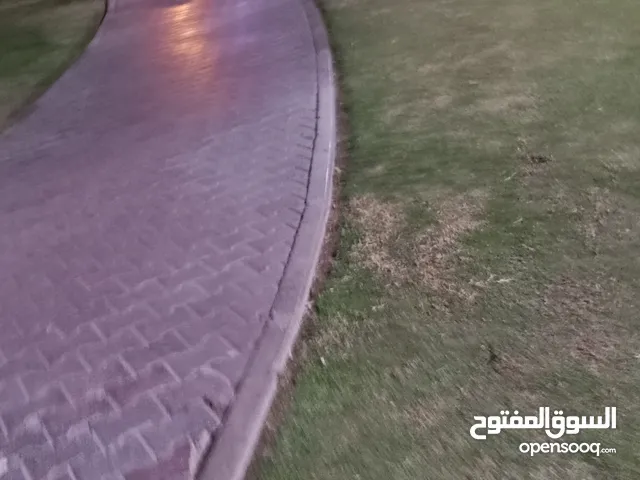 قص وتقليم الأشجار والحداءق