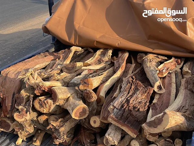 حطب سمر المدينه