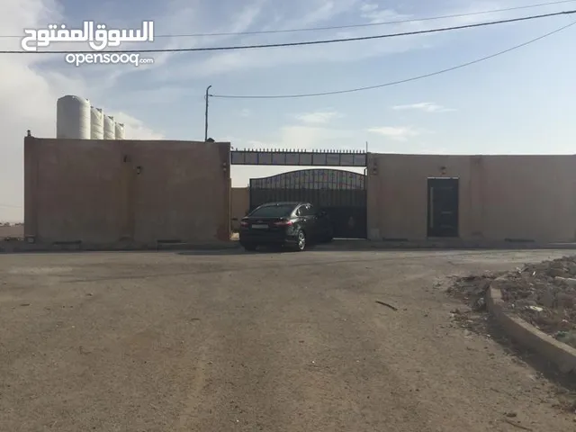 Residential Land for Sale in Amman Al Qastal