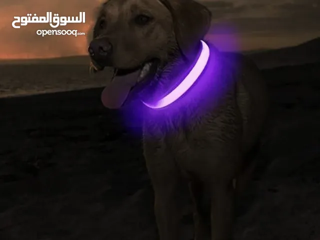 طوق ضوئي للحيوانات الاليفه