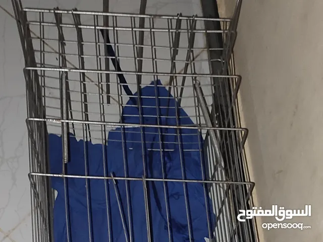 مصيده أو قفص متين للطيور او القطط أو الكلاب