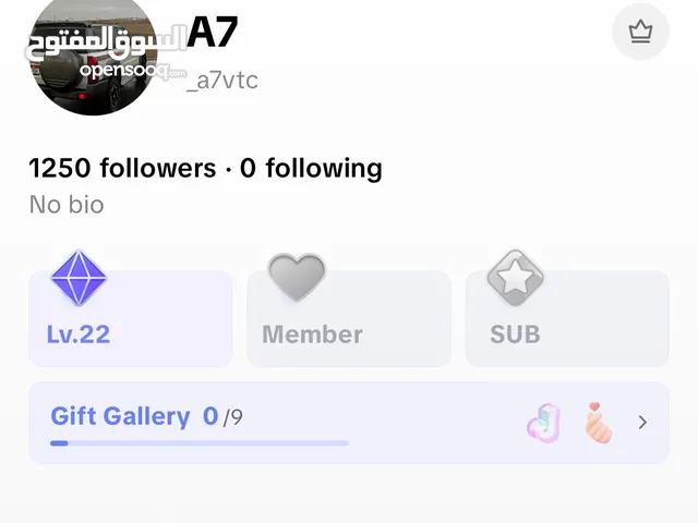 TikTok account level 22