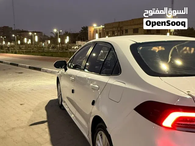 كورلاء هايبرد