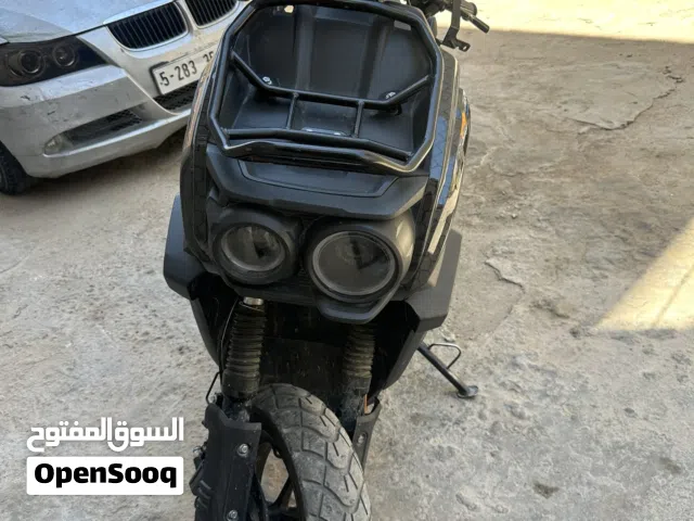 2024 Buggy All Models