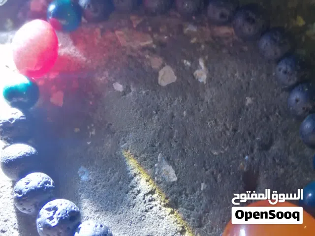 سورتين للبدل على لابتوب راس براس