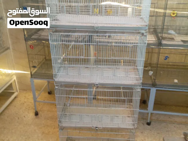 مطاير يونت للبيع