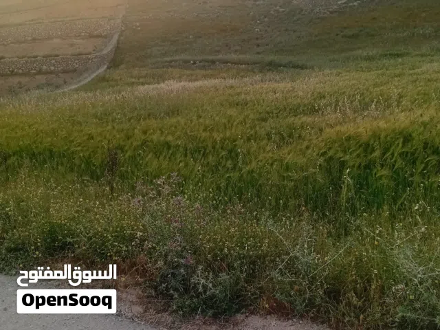 Mixed Use Land for Sale in Jerash Al-Mastaba