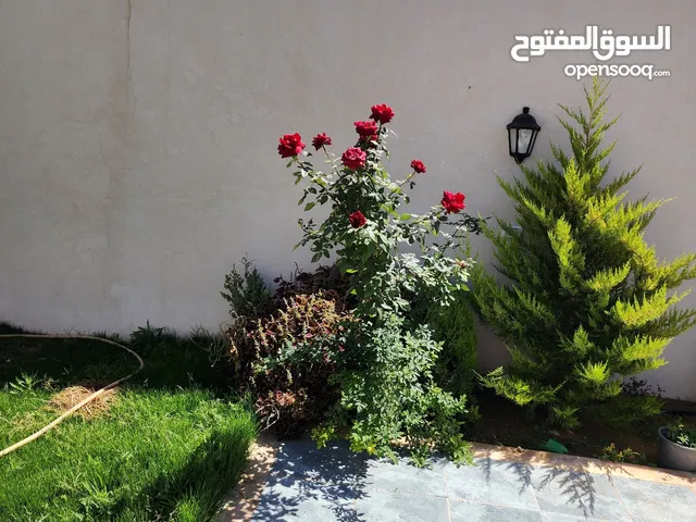 1 Bedroom Farms for Sale in Tripoli Ain Zara