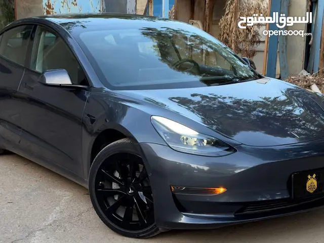 Tesla Model 3 Standard Plus 2022