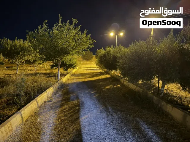 Farm Land for Sale in Benghazi Sidi Faraj