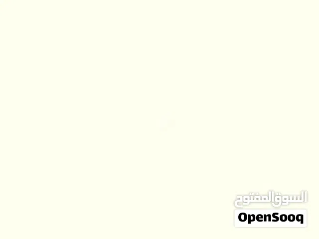 دجاج بياض سعر مثالي