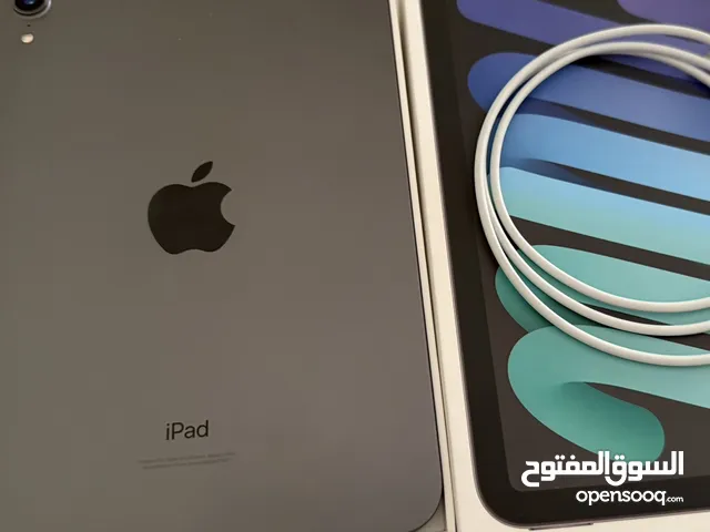 iPad mini 6
