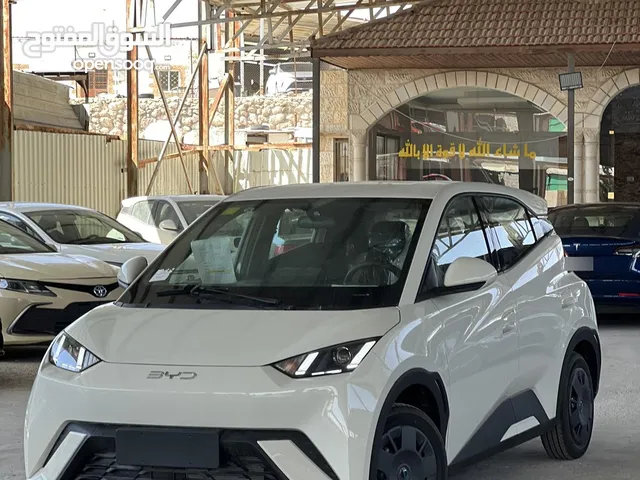 BYD سيجول 2024 زيرو - تقطع مسافة 300 كم بالشحنة ((قابل للبدل))