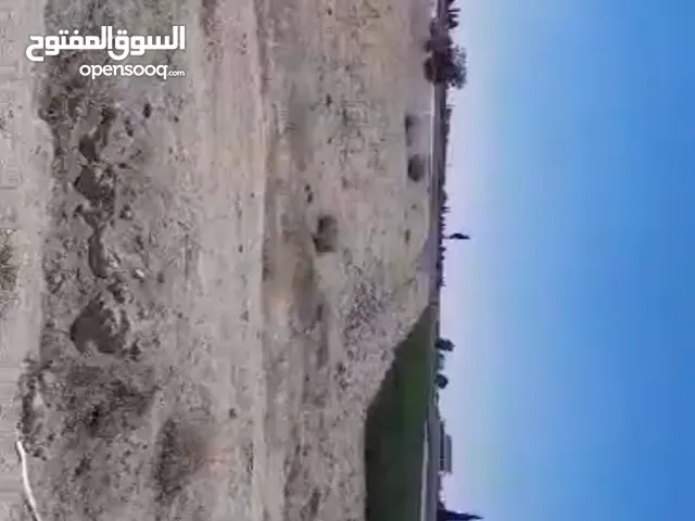 بسم الله فرصة مميزة لشراء أرض في مرج السلطان - ريف دمشق مباشرة من المالك طابو اخضر على نية التوفيق