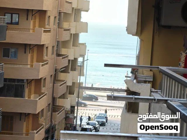 العصافره فيو بحر
