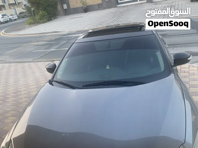 مكسيما 2016 بانوراما