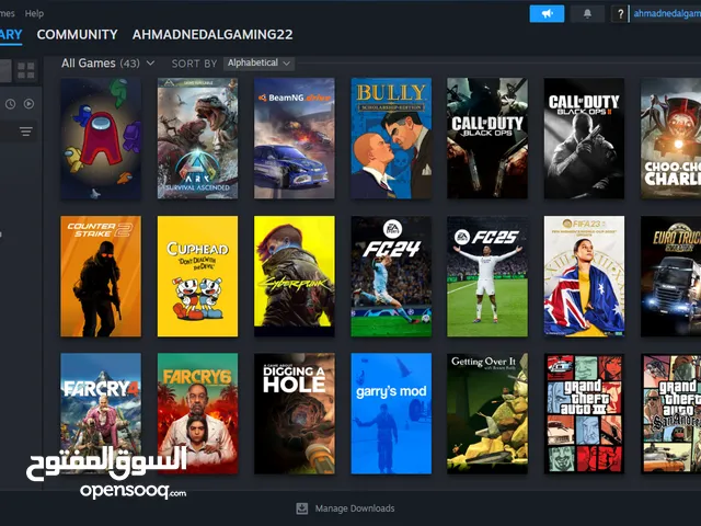 Steam Accounts and Characters for Sale in Amman