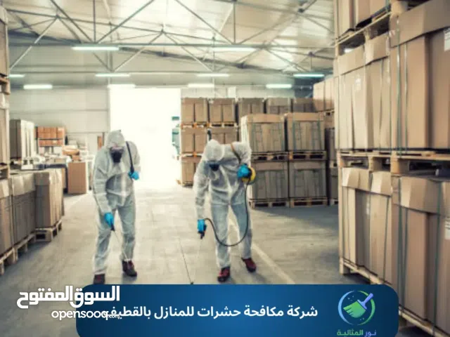 مكافحة حشرات بالدمام