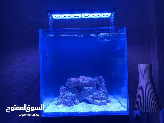 For Sale CADE REEF 600 S2 Reef Tank