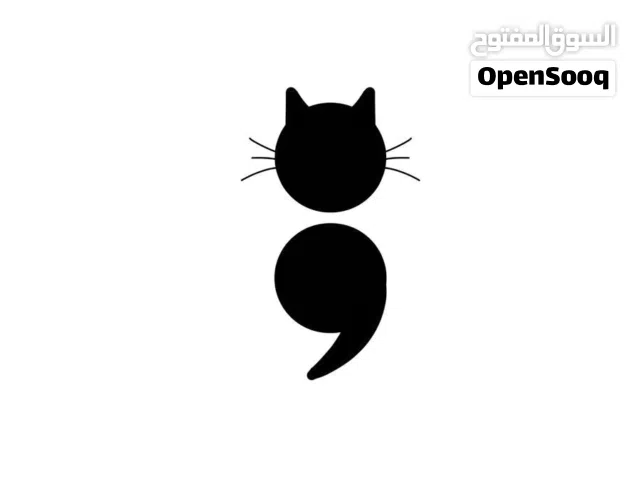مطلوب كتن للتبني